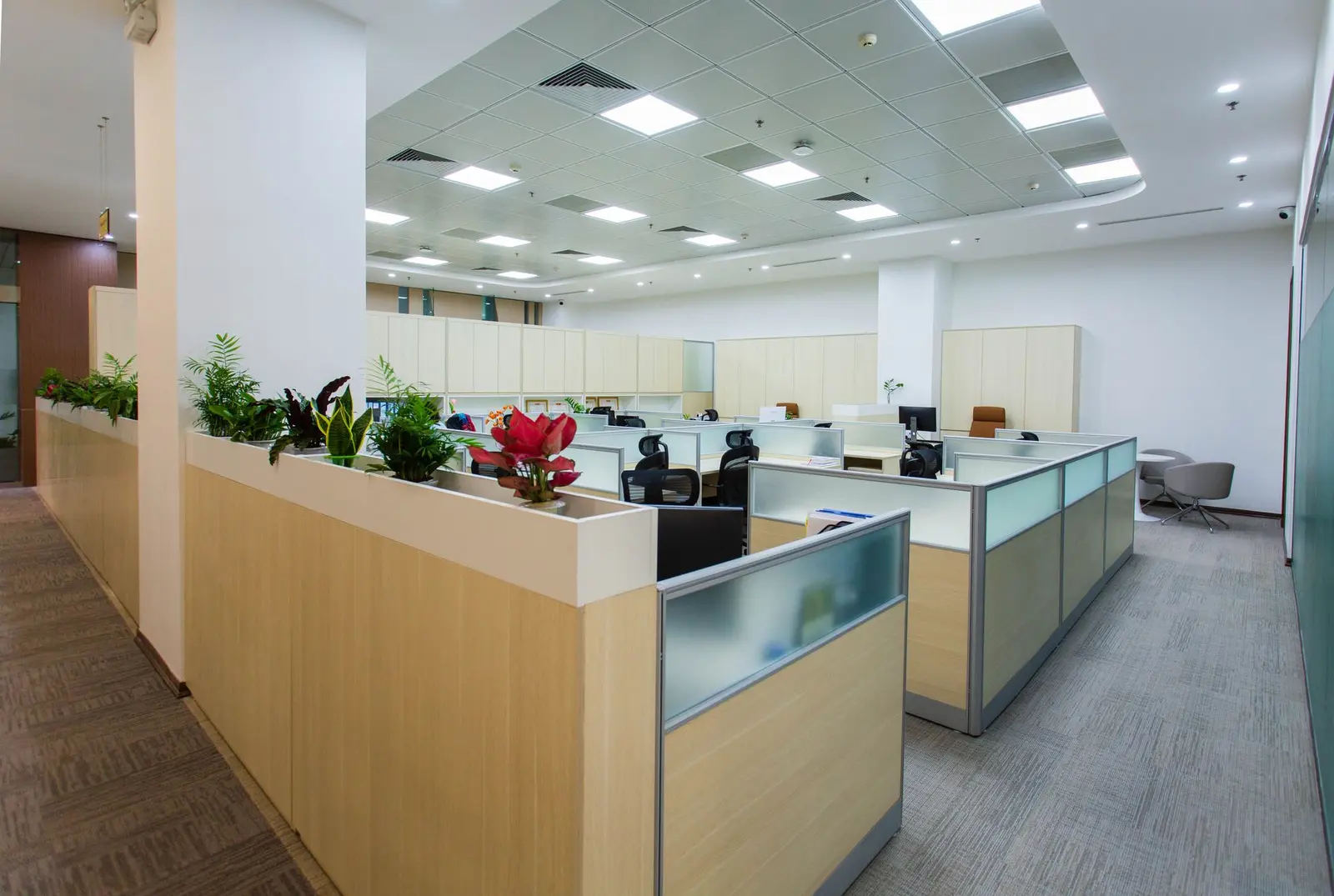 Oficina moderna y luminosa en Lima, con puestos de trabajo ordenados y plantas